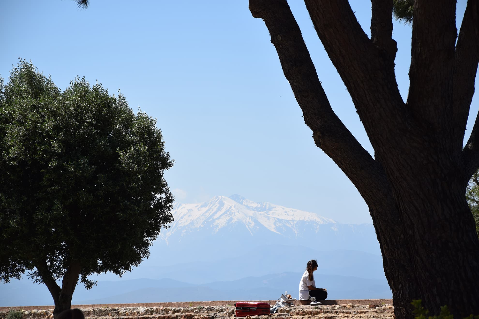 vue canigou depuis perpignan